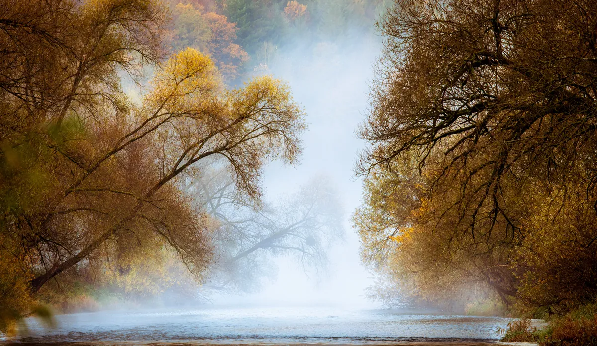 Herbstlich gefärbte Bäume im Nebel über dem Kocher – Hohenlohe