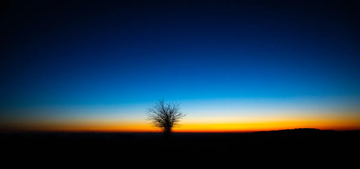 Silhouette eines Baums vor dem Farbverlauf der Dämmerung – Hohenlohe