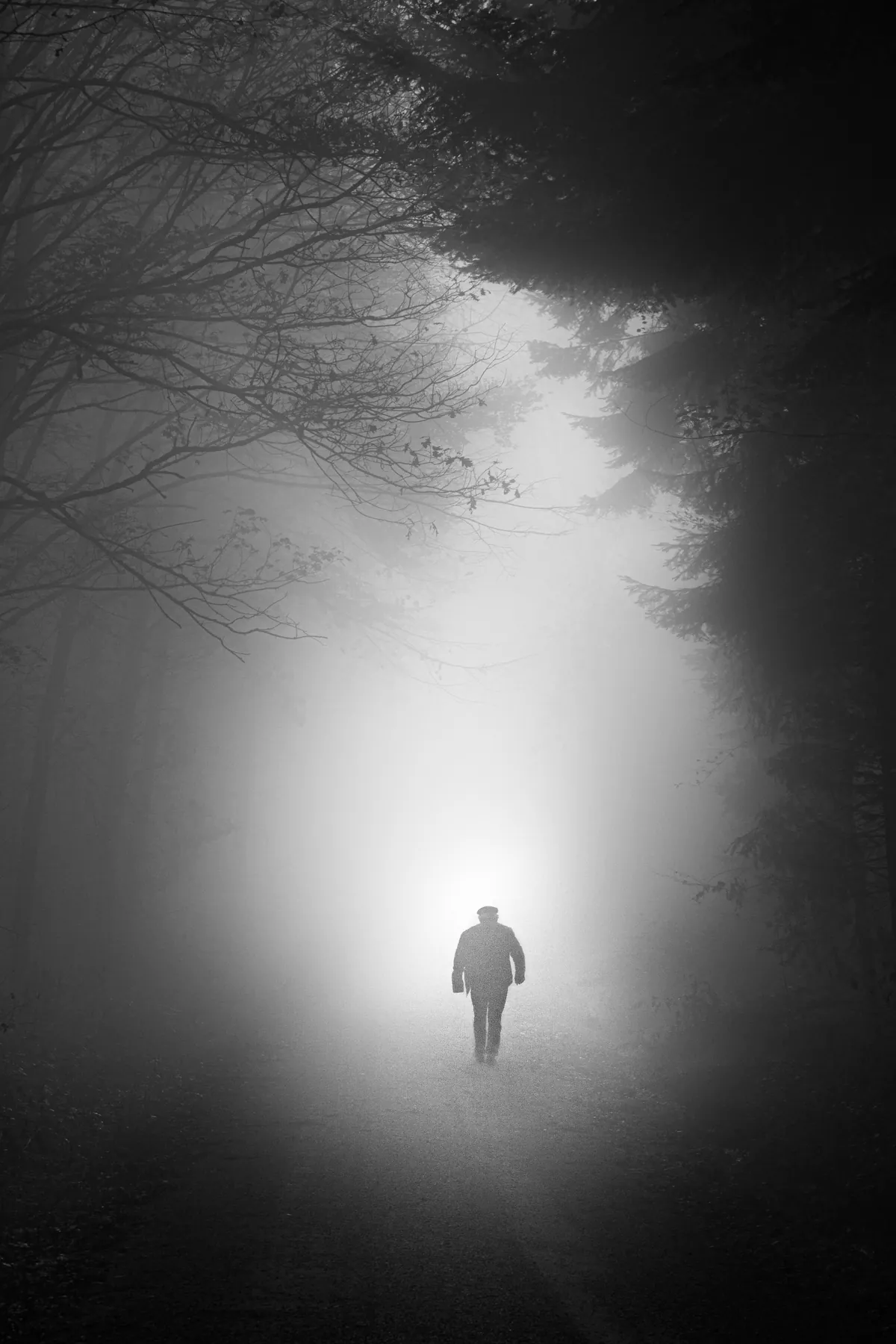 Person im Lichtkegel eines nebligen Waldes in Schwarzweiß – Forchtenberg