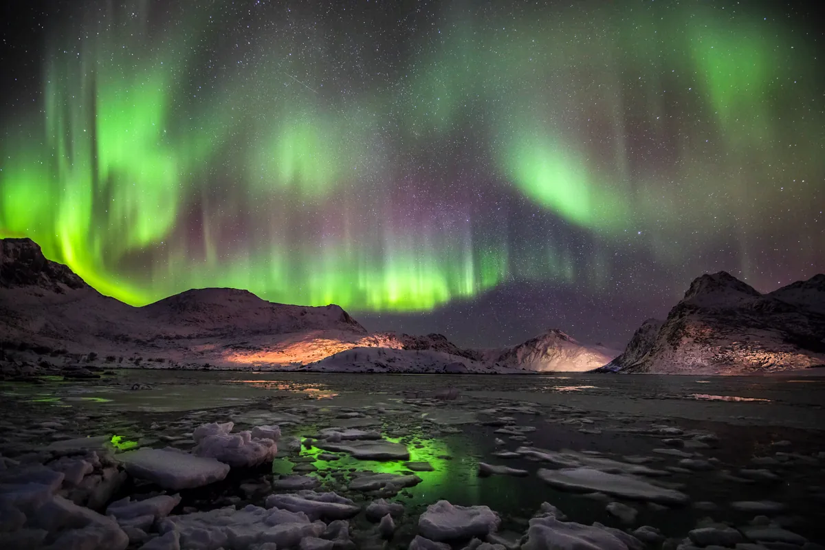 Grünes Nordlicht über verschneiter Küste mit Spiegelung – Lofoten, Norwegen