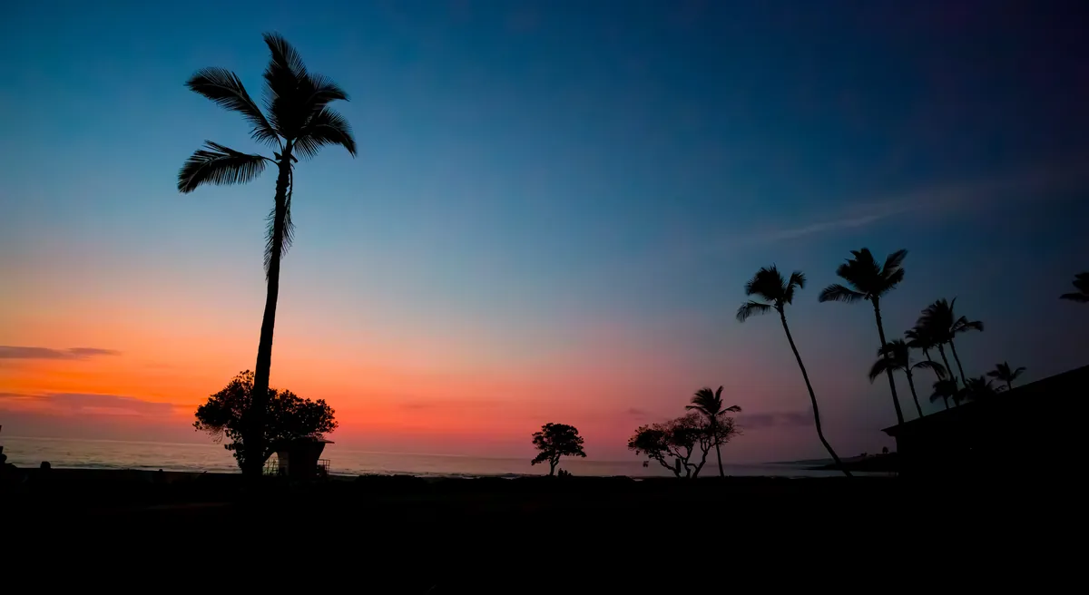 Silhouetten von Palmen vor rot-blauem Abendhimmel – Hawaii